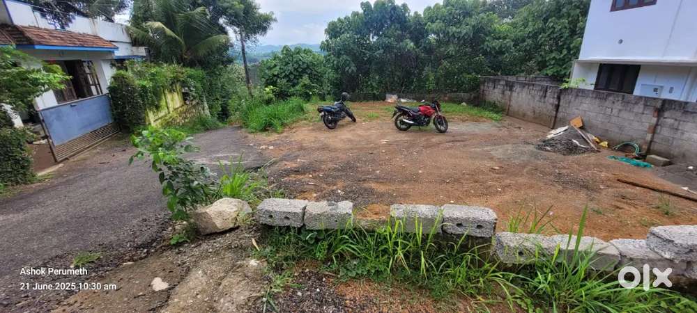 Peyad kattuvila 4cent House plot for sale. 8lac ( per cent)