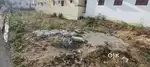 Plot for sale sholavandan road Thirumangalam Madurai