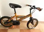 BSA Champ Ringo Kids Bicycle – Excellent Condition  Age 7–12  ₹5,000