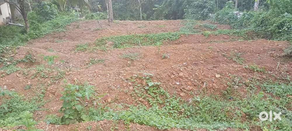Good plot near poozhanad hospital, janarthanapuram  school,