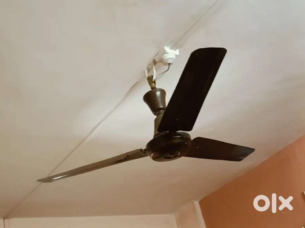 water geyser , celling Fan superb condition
