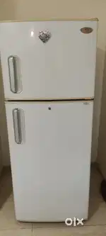 Pentacool  spacious fridge