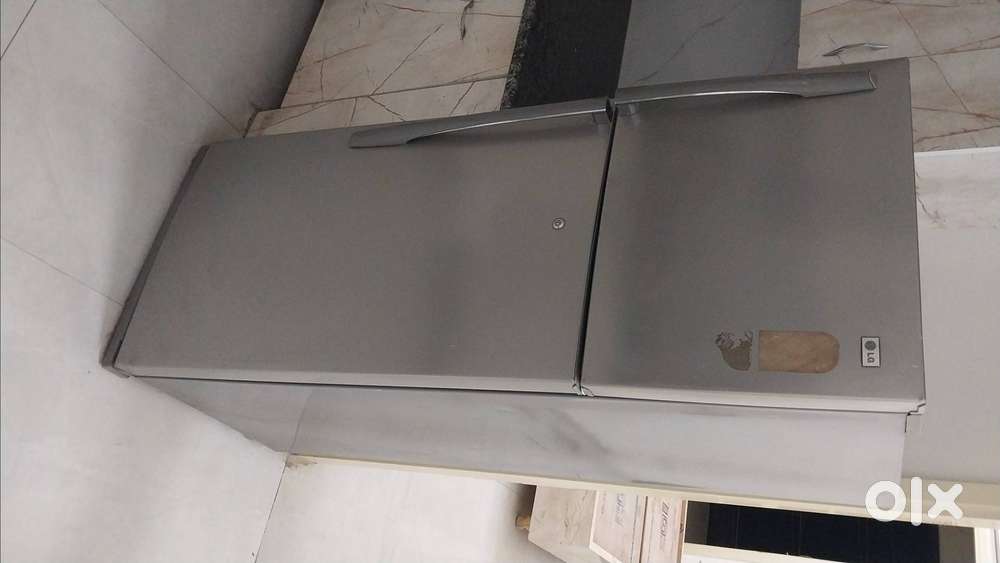 Lg Duble door fridge