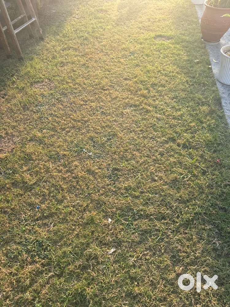 Best aminities plot for sale in sector 113