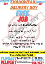 Jandu Sigha Meesho Delivery Boy