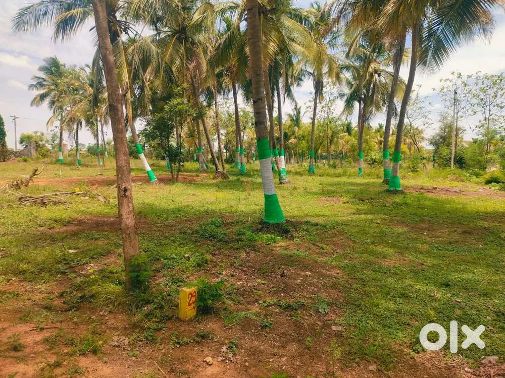 Walajabad investment plots sale low budget
