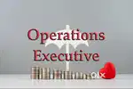 Operations Executive