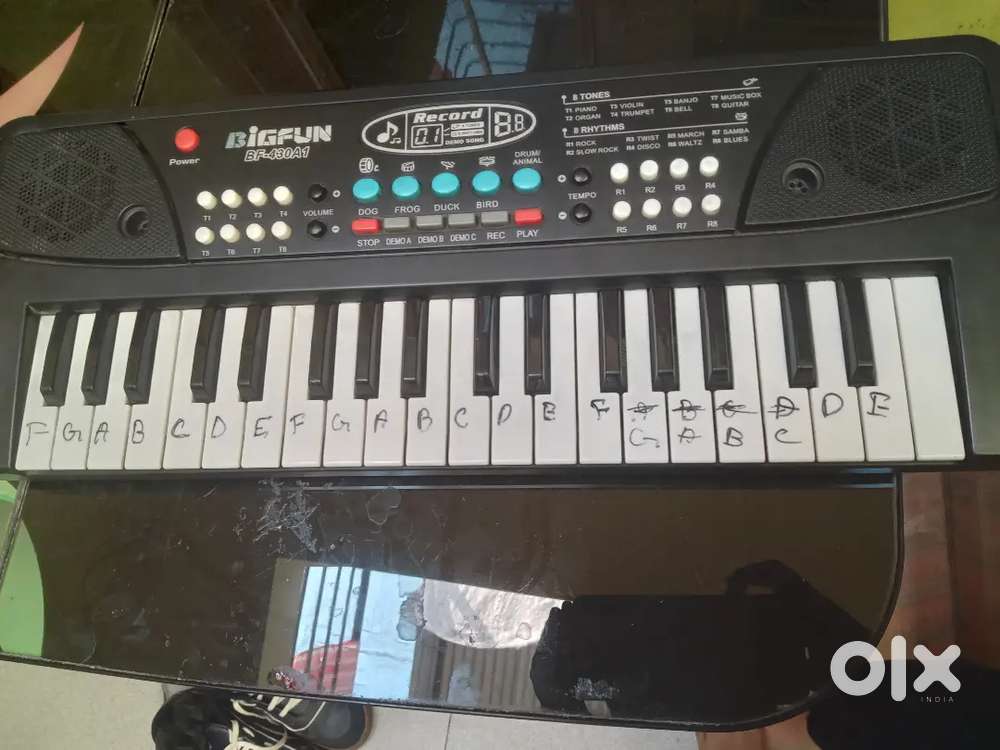 Bigfun payano model no BF430A1