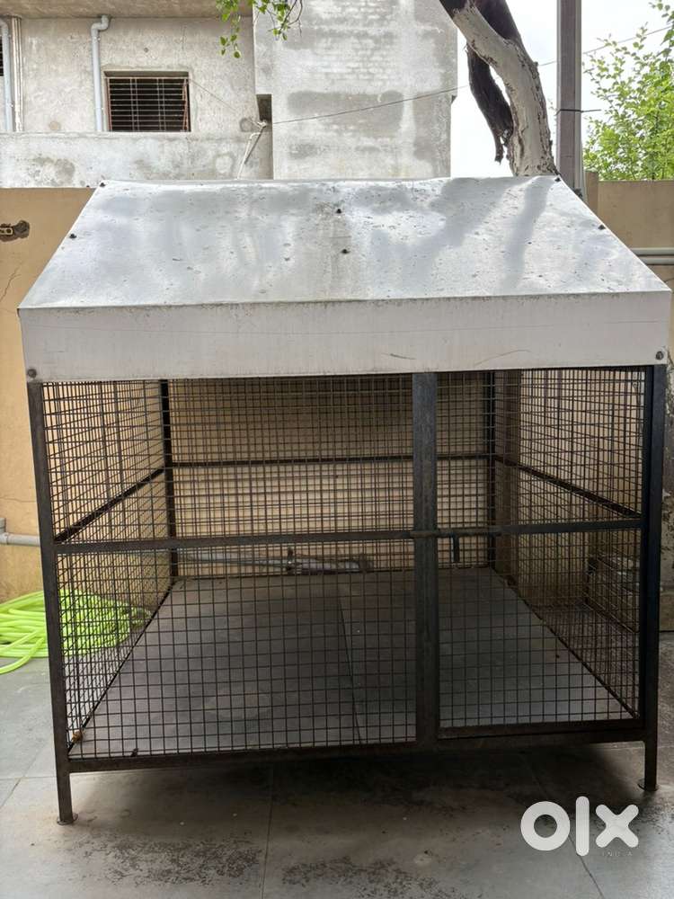 Dog & bird house