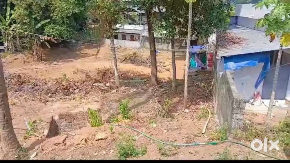 വീട് പണിയുന്നതിനു അനുയോജ്യമായ സ്ഥലം വില്പനക്ക്. ആലുവ കുട്ടമ്മശ്ശേരി
