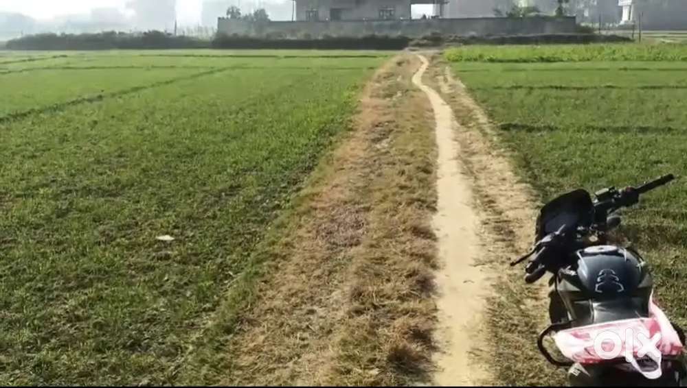 3 Biswa Plot in Harahua – 10ft Road Access, Residential Plot