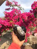 fuji xt 100 4k dslr camera
