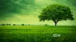 plot near avas vikas office North east corner park facing main road