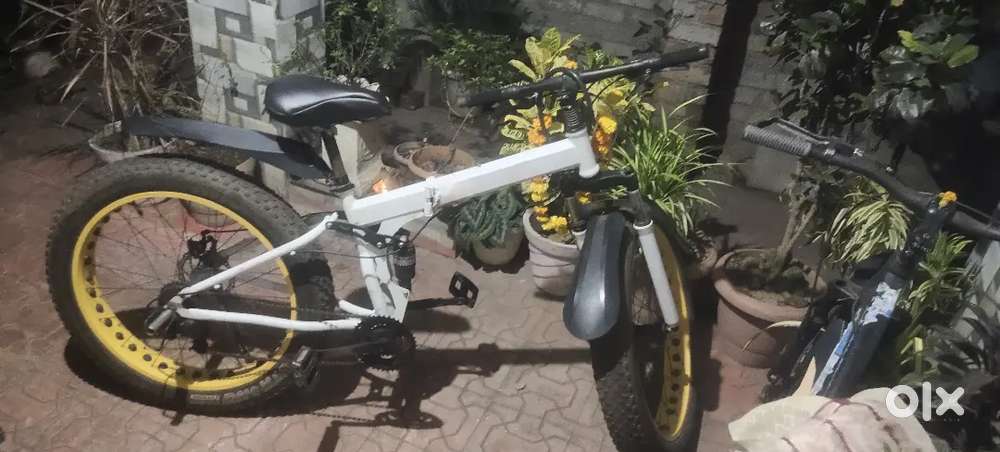 Fat tyre bike