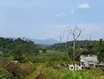 Super view 30 cents land at chance price in Kalpetta municipality.