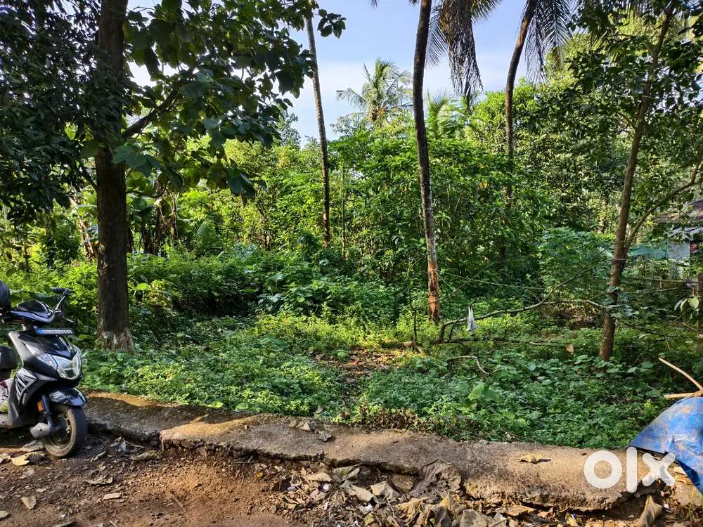 6 CENT PLOT FOR SALE Killimagalam, Pallipadi, Chelakara