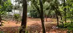 House plots near chinakathoor kavu temple .plots in 5,10 cents