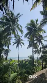 Carmona NA plot 4mins to beach