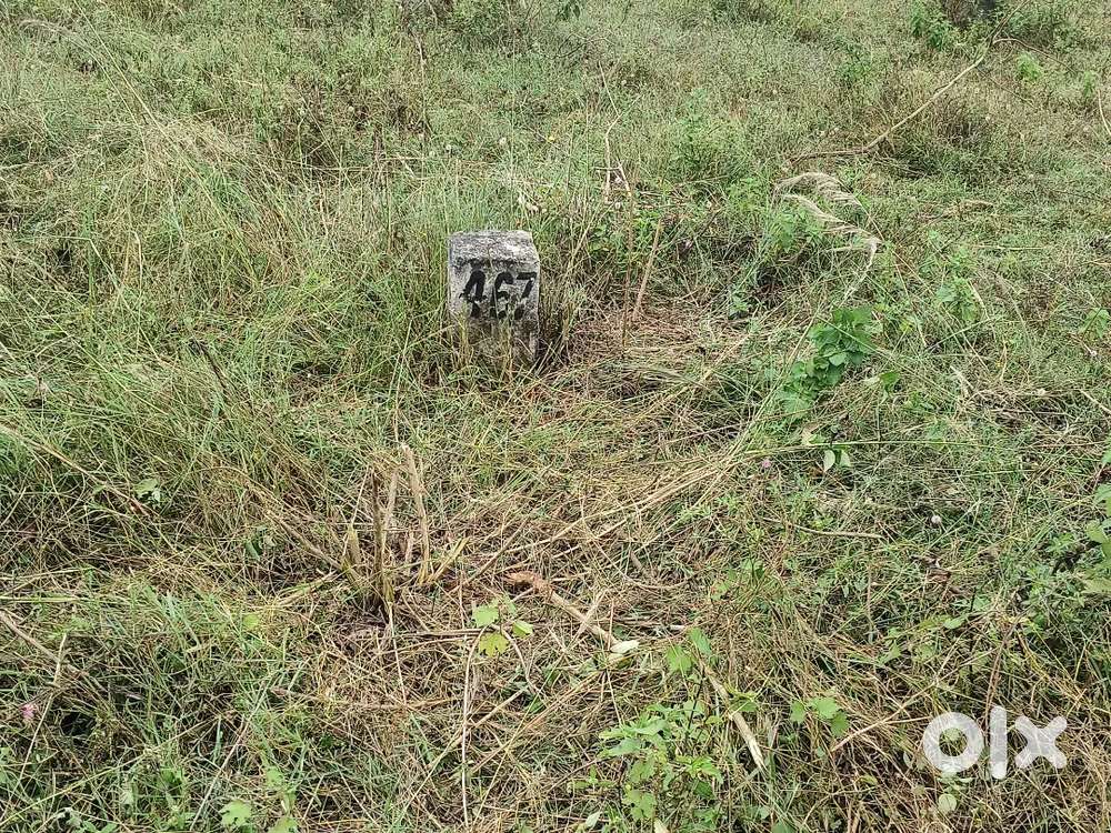 Site No 467, 15th cross, SMK layout, Hassan