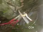Non Gear Cycle