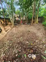 5 cent land for sale near Vellayani Devi
