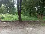 R3 plot for sale