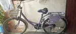Lady Bird cycle