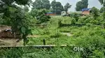 Near by Alexia Hospital
