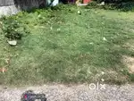 6 kata plot