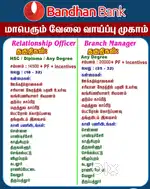 Relationship Officer in Bandhan Bank