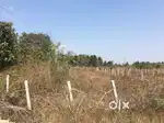 Plot for sale in Anupinakatte, Shivamogga