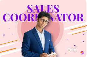 Sales Coordinator