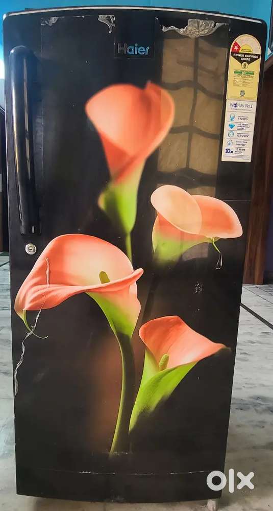 Haier Brand 192 L Refrigerator.