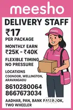 Meesho Delivery executive