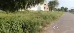 850 gaj or 530 gaj plot available for rent