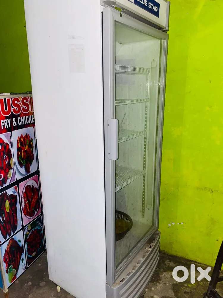 Blue star refrigerator 385 fridge sale new for hotel for restaurant