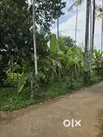 ഇരിഞ്ഞാലക്കുട കണ്ടേശ്വരത്ത്  റോഡ് Frontage ഉള്ള 6 സെന്റ് വില്പനക്ക്