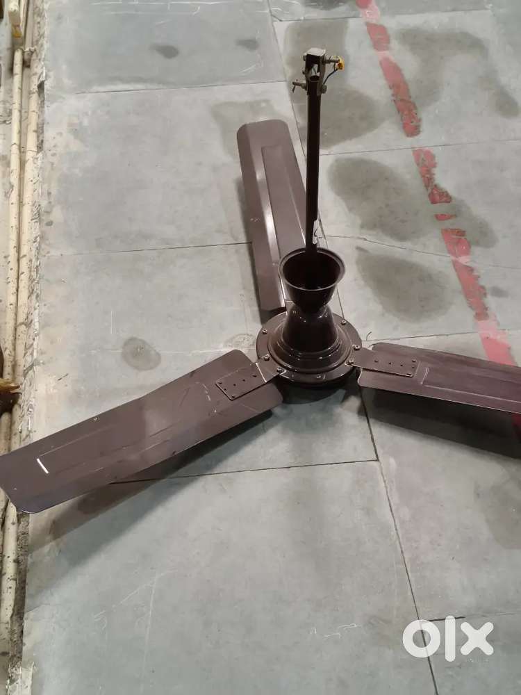 Orient fan 1.2 year old
