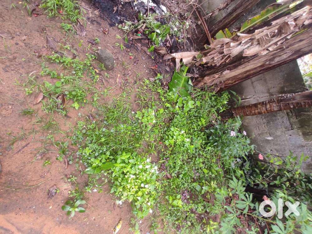 Urgent plot for sale