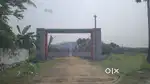 Dtcp Approved plots