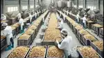 Wanted m/f packing staffs/counter staffs for  cashew factory