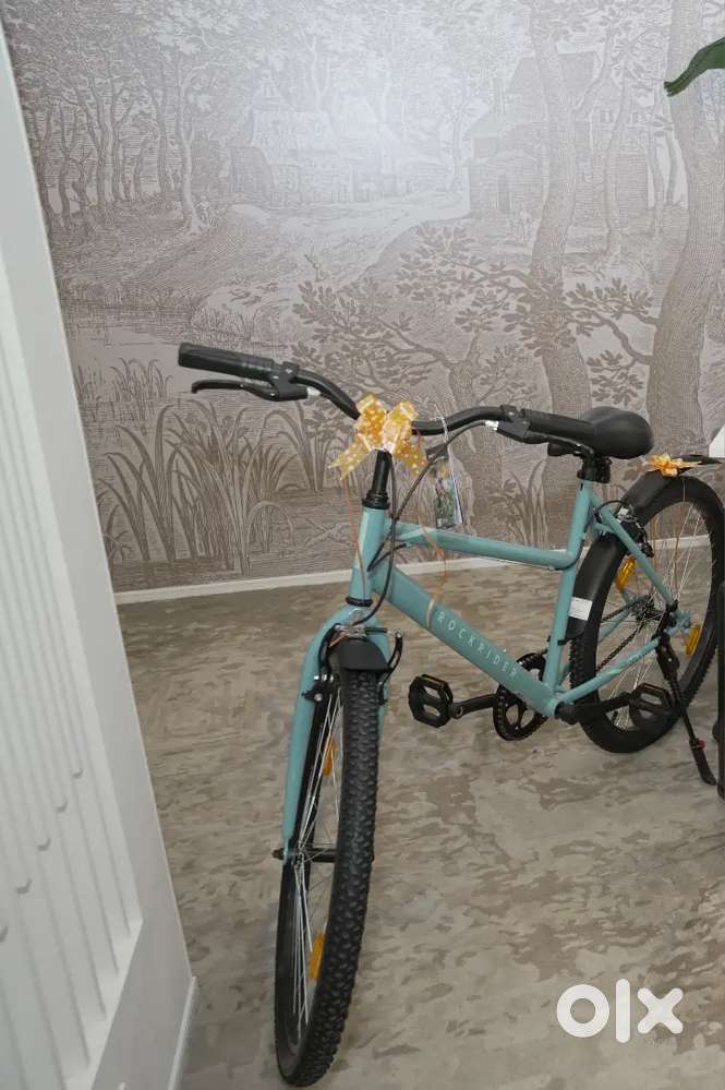 Decathlon Rockrider