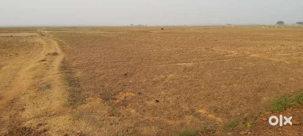 Plot for sale