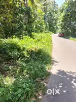 50 cents of land in vlathankara, udayankulangara for sale.