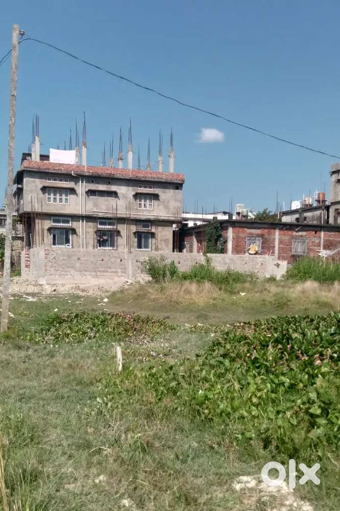 Urgent sale land 2.5 10laks per kata Silchar Kathal road