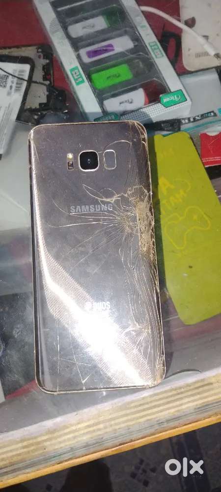 Back panel and display crack