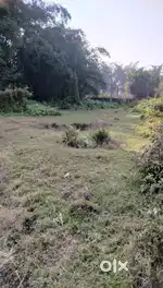 Urgent 1.5 katha land sell Podumoni Jorhat near Nayara petrol pump