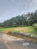 RESIDENTIAL PLOTS FOR SALE AT KAKKANAD PALLIKARA PATTIMATTOM VALAMBOOR