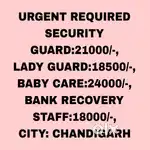 All Security Guard Job chandigarh 10
