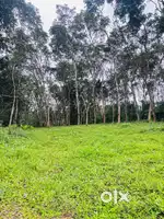 റിസോർട്ട് ഹോംസ്റ്റേ നിർമിക്കാൻ അനുയോജ്യമായ 50സെന്റ് സ്ഥലം വില്പനയ്ക്ക്